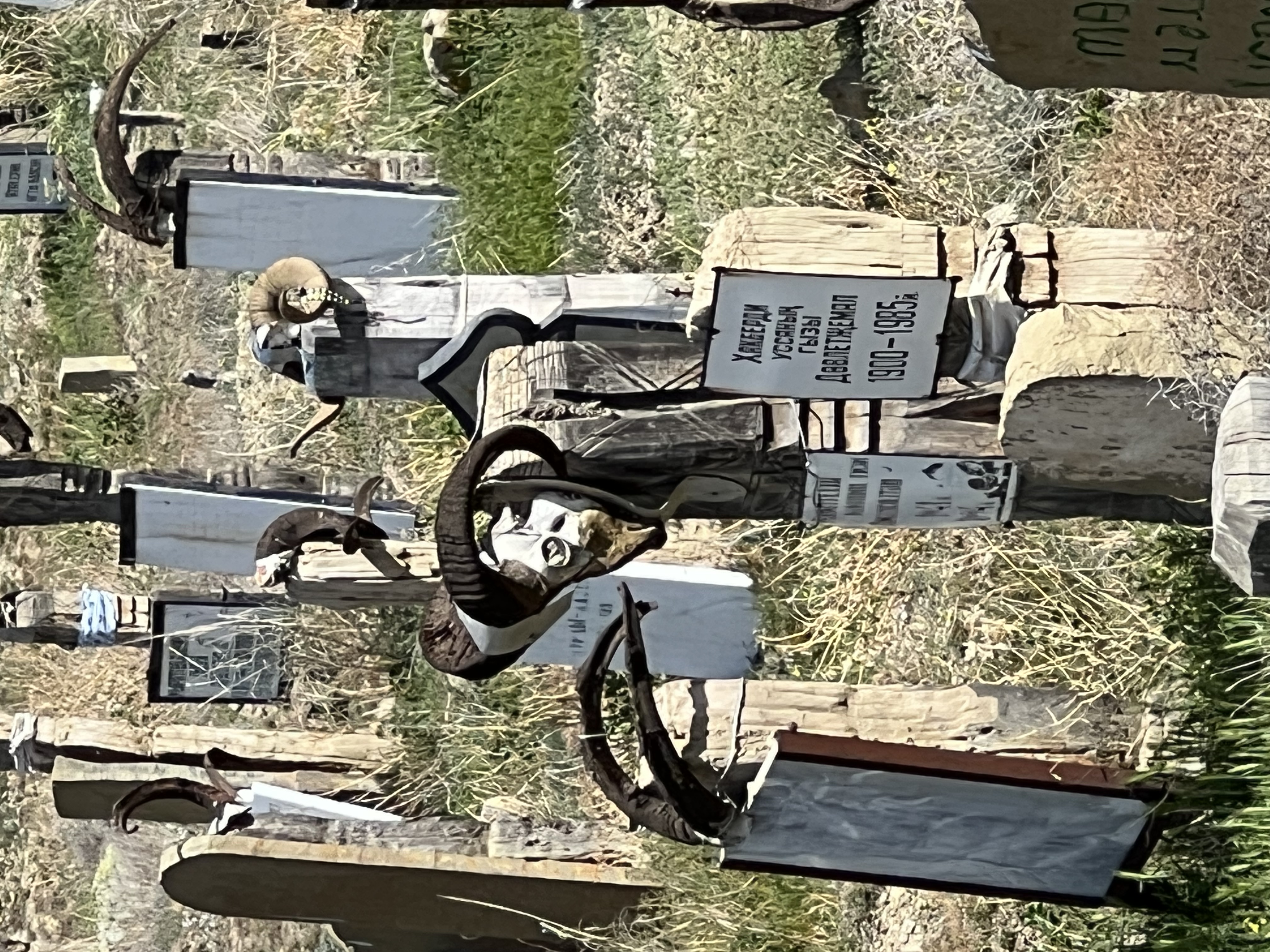 Nokhur Cemetery, goat horn graves, Turkmenistan